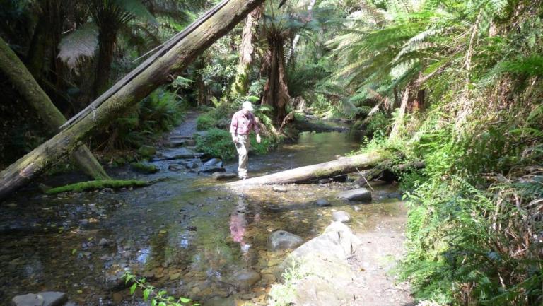 Walk to Mariner Falls